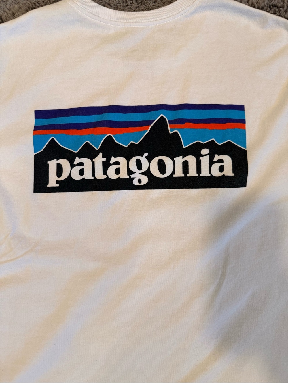 Patagonia White Tee with Multicolor Mountain Logo